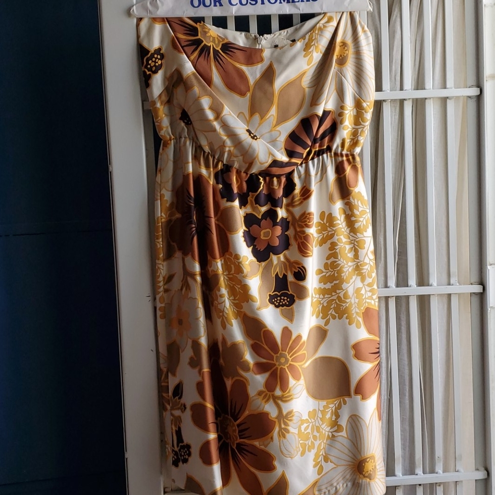 Silk Dress